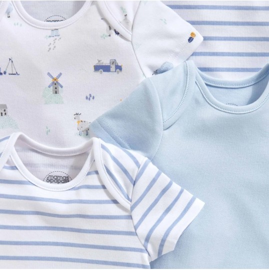 FARM & STRIPE